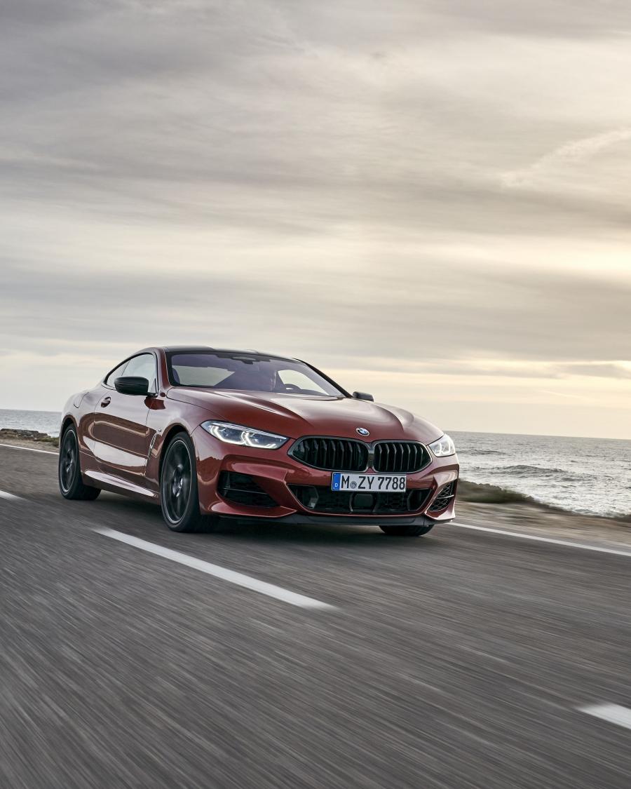  BMW M850i xDrive Carbon Package (G15) 2018 года  (WW) (фото 246 из 287)